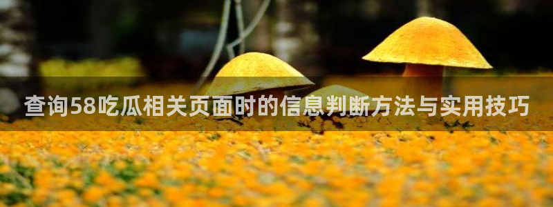 51吃瓜在线观看：查询58吃瓜相关页面时的信息判断方法与实用技巧