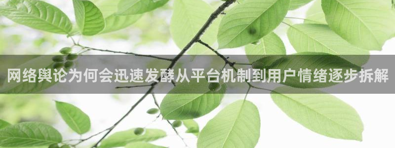 吃瓜在线观看