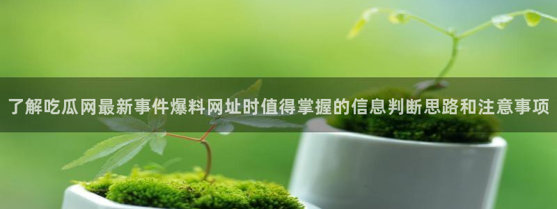 五一吃瓜网