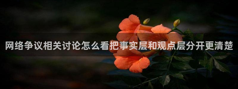 黑料吃瓜网在线观看:网络争议相关讨论怎么看把事实层和观点层分开更清楚